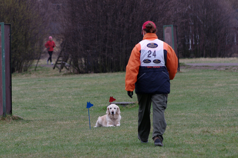 8.5.2010 083c.jpg